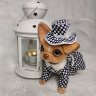 Chihuahua puppy Fashionista Plush Toy