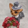 Chihuahua puppy Fashionista Plush Toy