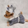 Chihuahua puppy Fashionista Plush Toy