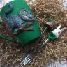 Alice in Wonderland Mug with spoon