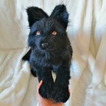 Black Wolf 2 Soft Toy