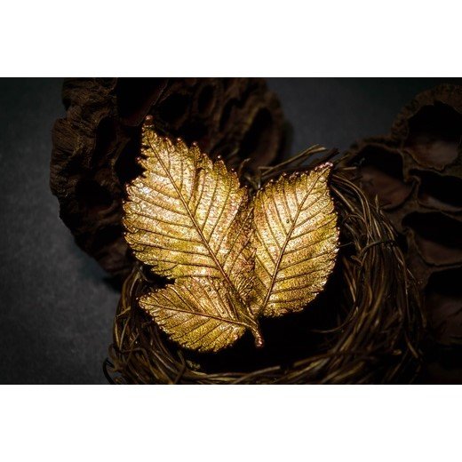 Hazel Leaf V.2 Brooch