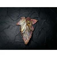Rainbow Physocarpus Opulifolius Pendant Necklace