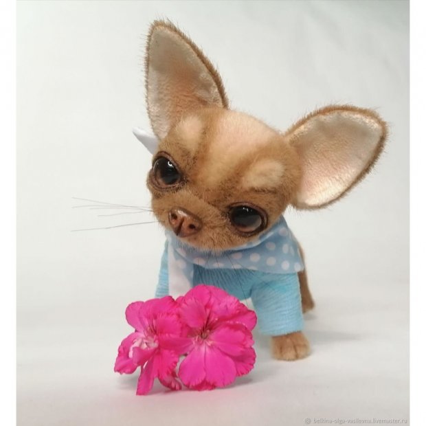 Little Cutie (15 cm) Plush Toy