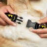 Buckle-Down DC Comics - Batman Black/Yellow (38-66 cm) Dog Collar Plastic Clip