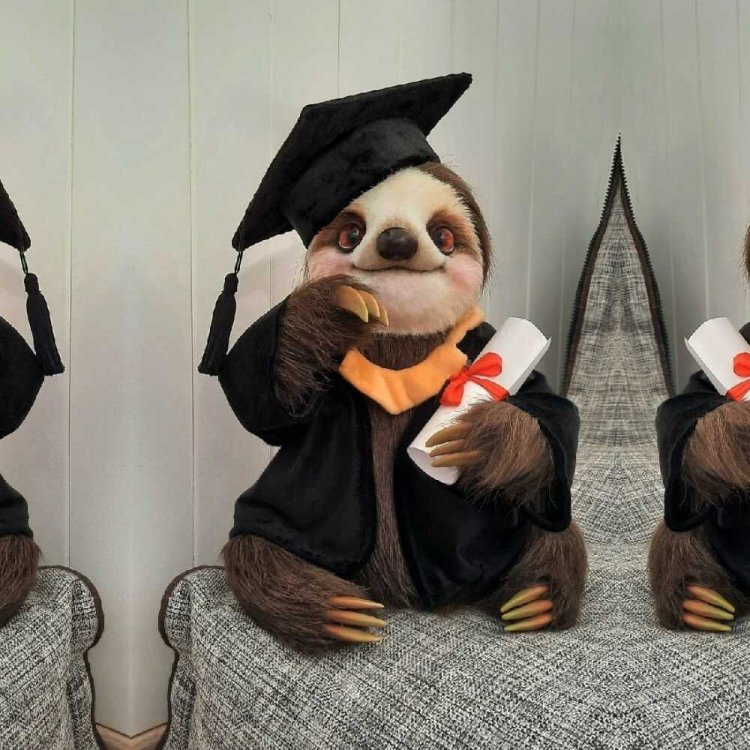 Sloth Academician (33 cm) Plush Toy