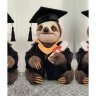 Sloth Academician (33 cm) Plush Toy