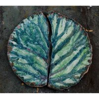 Split Leaf Plate
