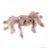 Little Spider (20 cm) Plush Toy