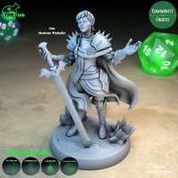 Ina Human Paladin Figure (Unpainted)