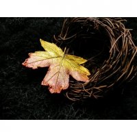 Golden Leaf V.2 Brooch