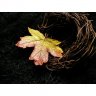 Golden Leaf V.2 Brooch