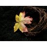 Golden Leaf V.2 Brooch