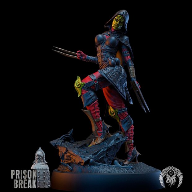 Shadow Blade, Rogue Assassin Figure (Unpainted)