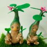 Adenium Flowers Set Of 2 Figures