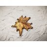 Golden Maple Leaf Pendant Necklace