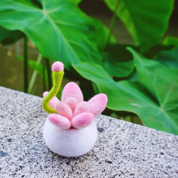 Pink Succulent Plant Plush Toy