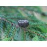 Brushwood V.2 Ring