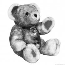 Black And White Bear (40 cm) Plush Toy