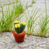 Mini Cactus Plush Toy