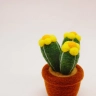 Mini Cactus Plush Toy