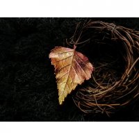 Golden Birch Brooch