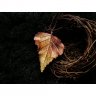 Golden Birch Brooch