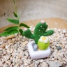 Mini Cactus V2 Plush Toy