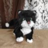 Kitten Timka (20 cm) Plush Toy