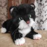 Kitten Timka (20 cm) Plush Toy