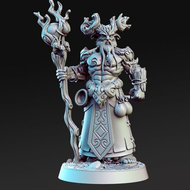 Aerlin Forest Druid Figure (Unpainted)