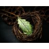 Green Oak Leaf Pendant Necklace