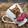 Bengal Cat Mug With Decor