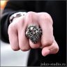 Tich's with a Pirate's Skull Ring