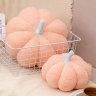 Pumpkin Plush Pillow (Cherry blossom powder)