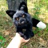 Black Fox v2 Soft Toy