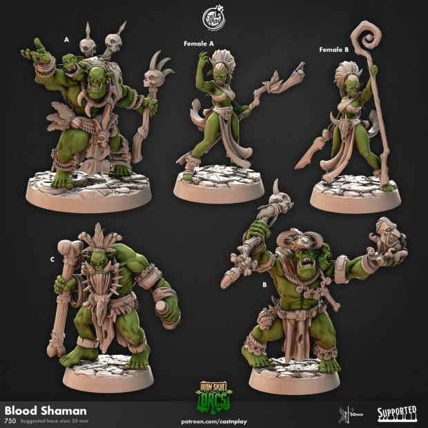 Blood Shaman Figure (Unpainted)
