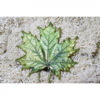 Maple Leaf Hair Pin