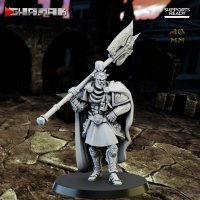 Royal fighter before the fight Figure (Unpainted)