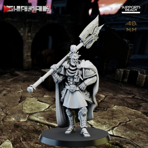 Royal fighter before the fight Figure (Unpainted)