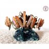 Bronze Beauty Crown