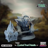 Tuotar - Ancient Frost Paladin Figure (Unpainted)