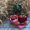 Toothy Cherry Brooch