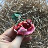 Toothy Cherry Brooch