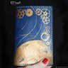 Gears And Planets Passport Cover