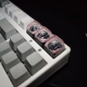Cherry Blossom SAKURA FUJI Mountain Resin Keycap for Mechanical Keyboard BACKLIT