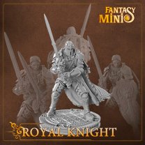 Royal Knight Figure (Unpainted)