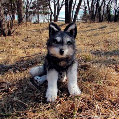 Wolf 2 Soft Toy