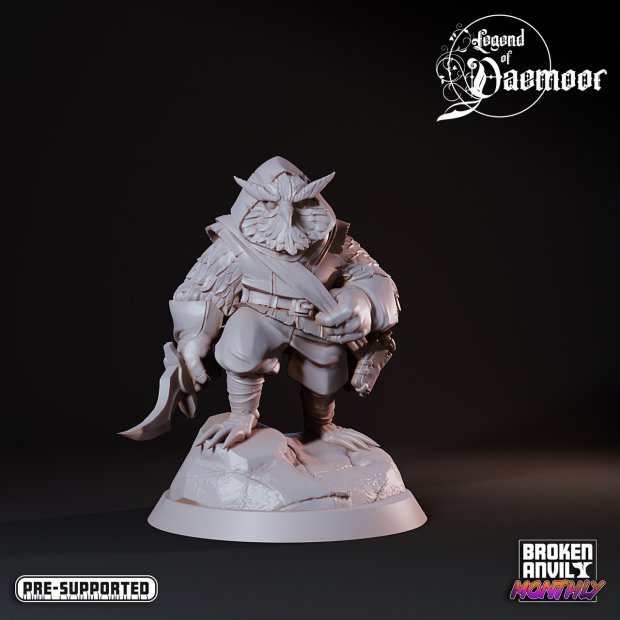 Sovlin assassin Figure (Unpainted)