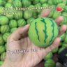Color-Changing Watermelon Squishy Stress Toy